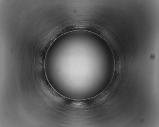 X0000116160557200911231407