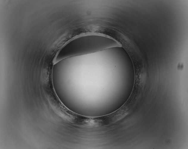 X0000116160558200911231407