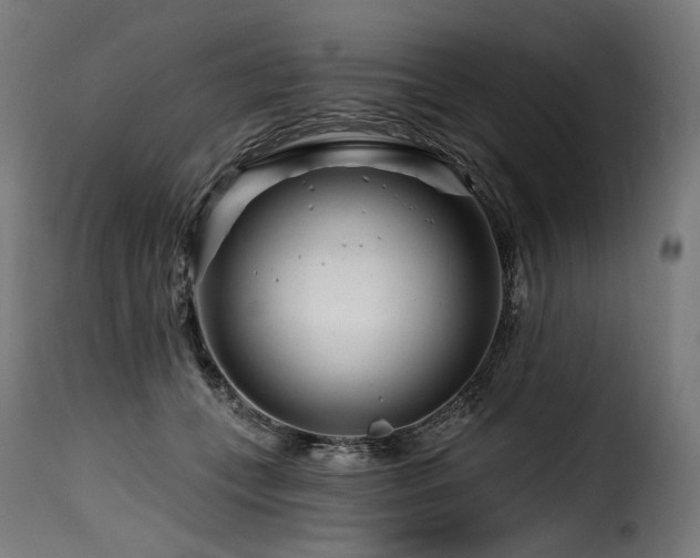 X0000116160559200911231407