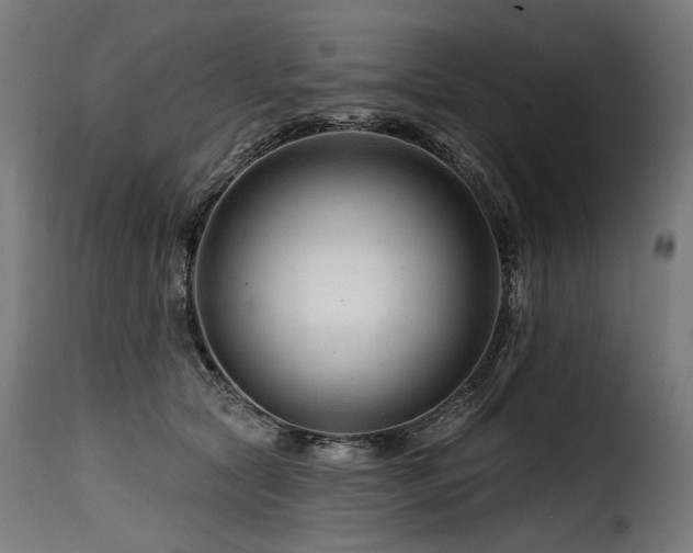 X0000116160561200911231408