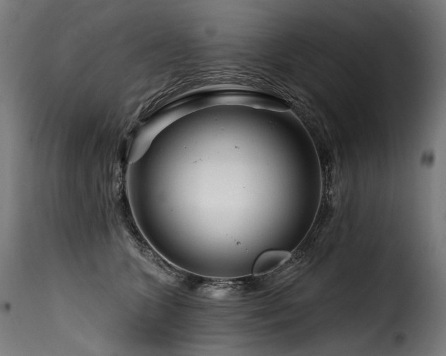 X0000116160563200911231408