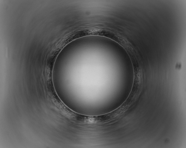 X0000116160565200911231408