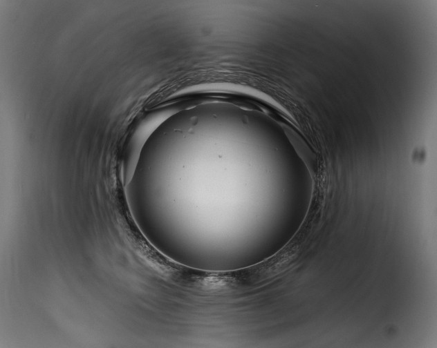 X0000116160566200911231408