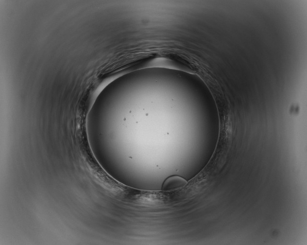 X0000116160567200911231408