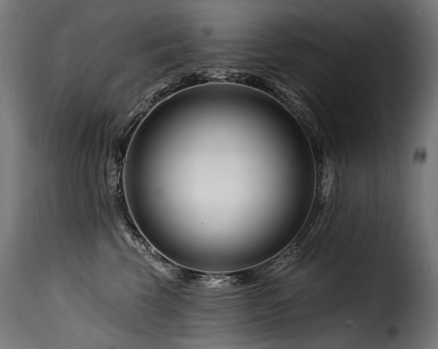 X0000116160569200911231408