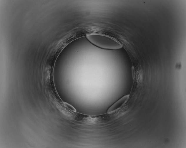 X0000116160570200911231408