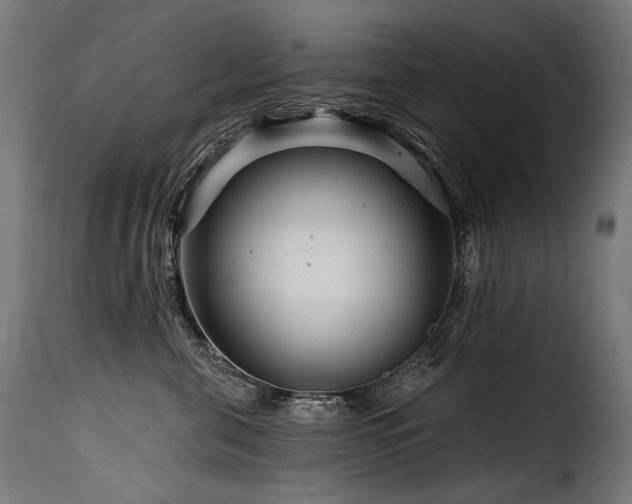 X0000116160571200911231408