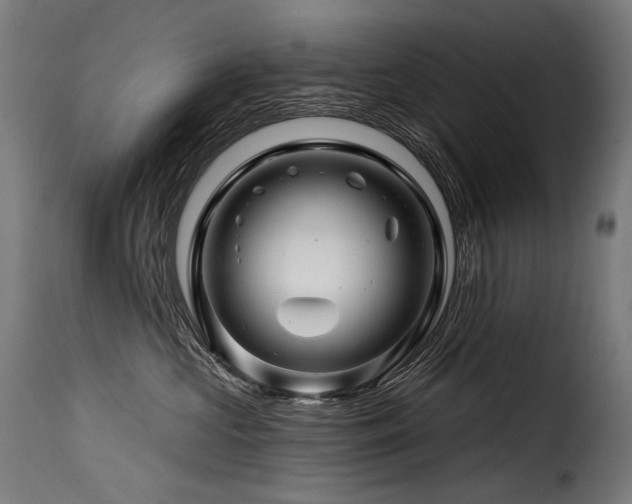 X0000116160573200911231408