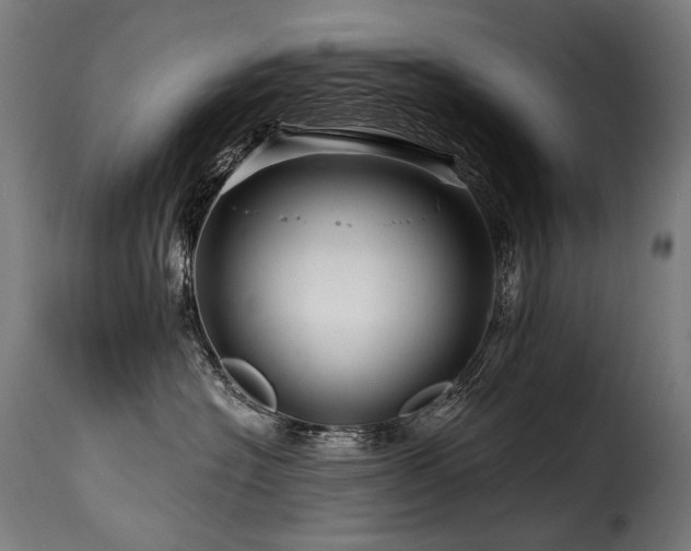 X0000116160574200911231408