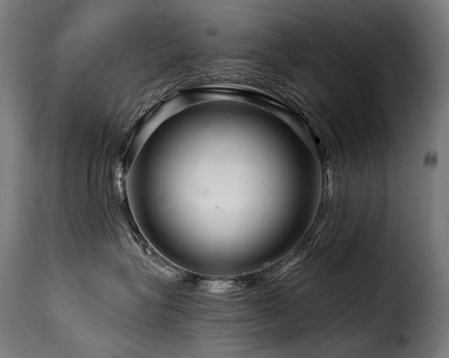 X0000116160575200911231408