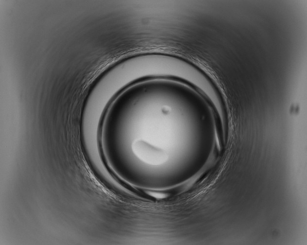 X0000116160577200911231407