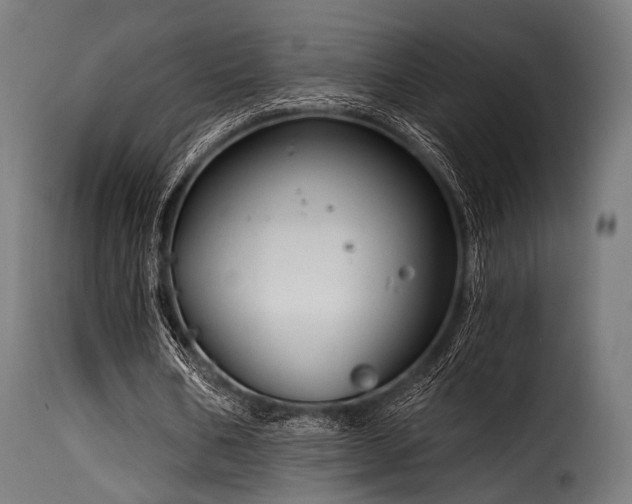 X0000116160578200911231407