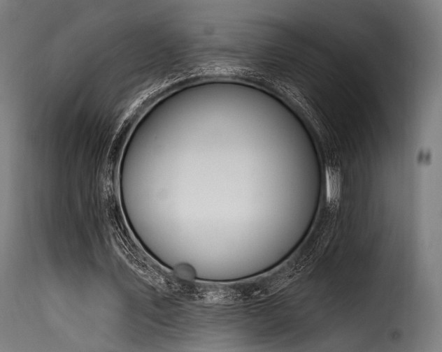 X0000116160579200911231407
