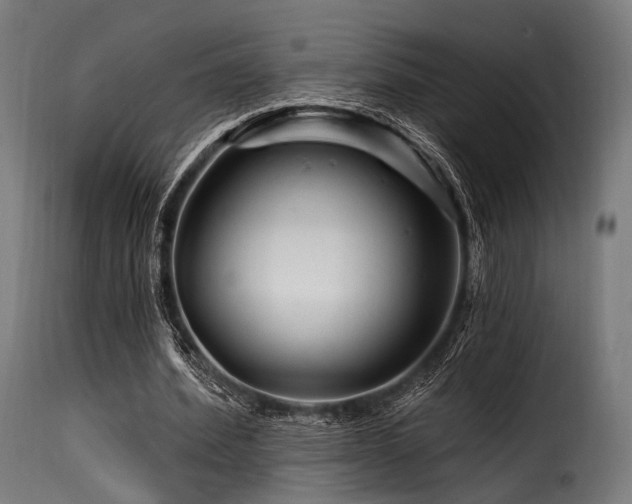 X0000116160580200911231407