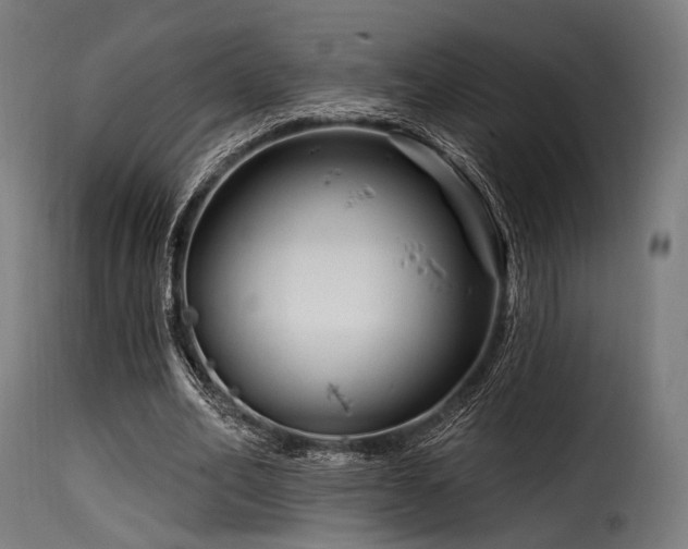 X0000116160582200911231407