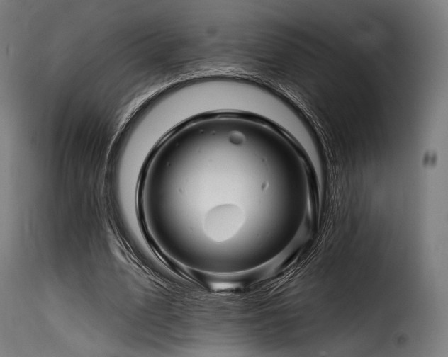 X0000116160583200911231407