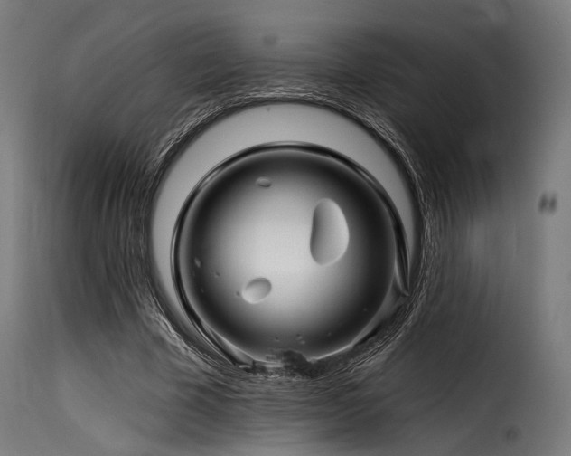 X0000116160585200911231407