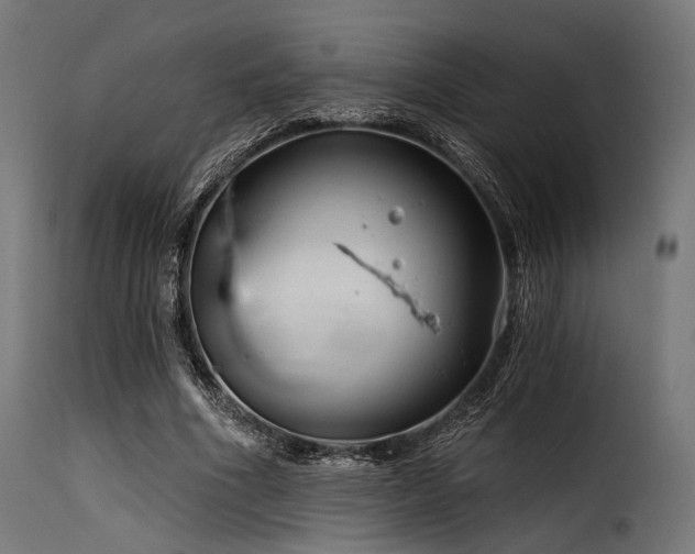 X0000116160586200911231407