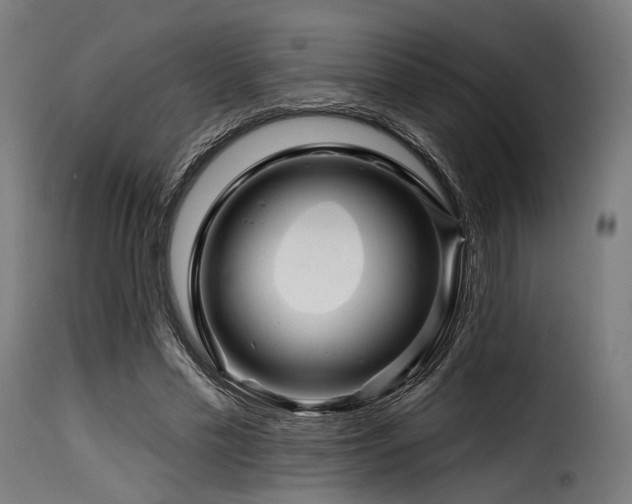 X0000116160589200911231407