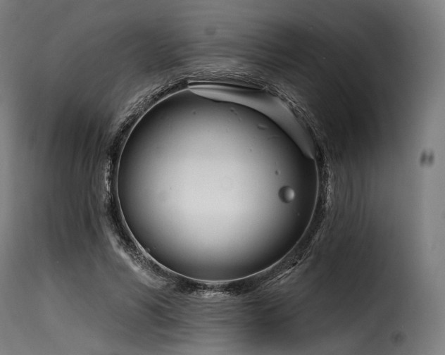 X0000116160590200911231407