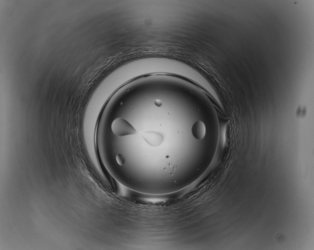 X0000116160593200911231406