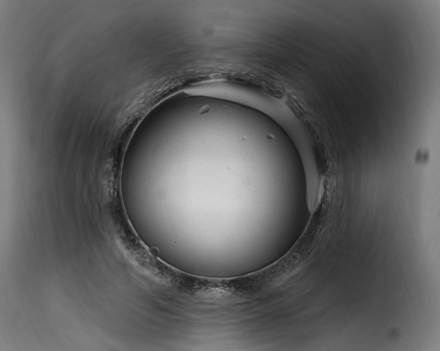 X0000116160594200911231406