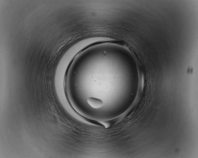 X0000116160595200911231406