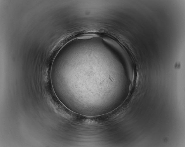 X0000116160596200911231406