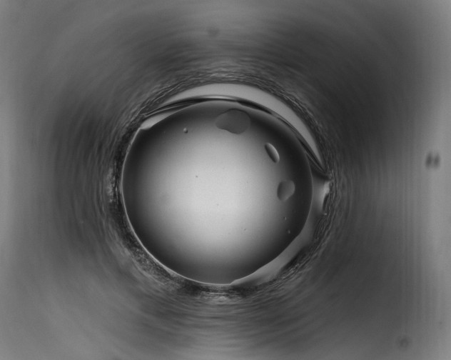 X0000116160597200911231406