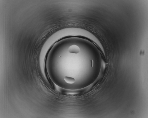X0000116160599200911231406