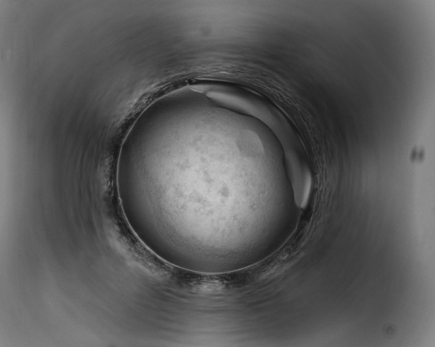 X0000116160600200911231406