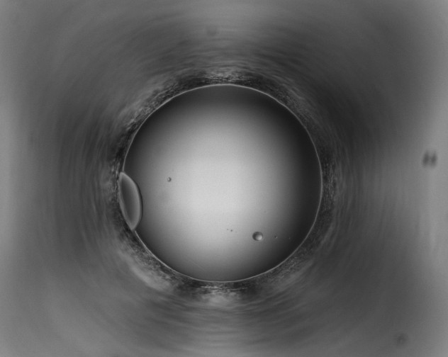 X0000116160601200911231406