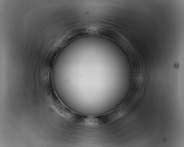 X0000116160603200911231406