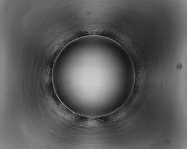 X0000116160604200911231406