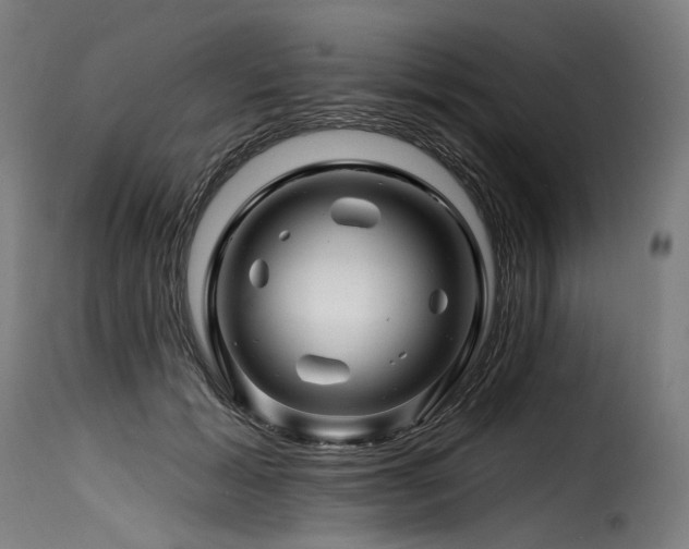 X0000116160605200911231406