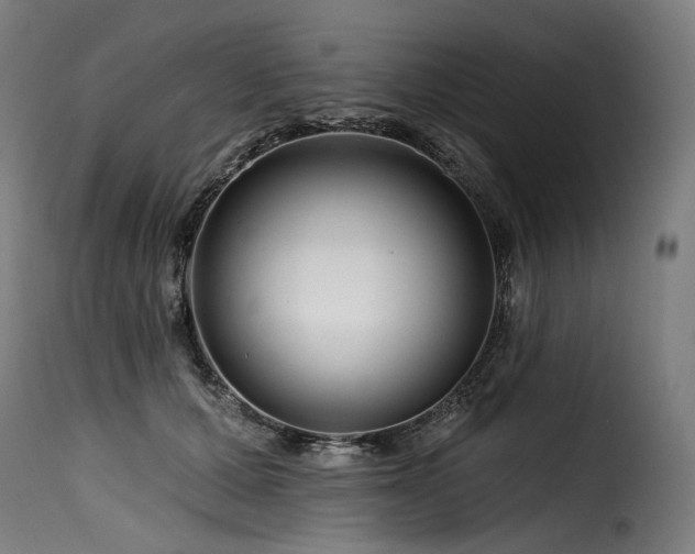 X0000116160607200911231406