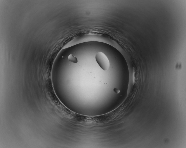 X0000116160608200911231406