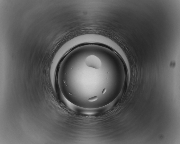 X0000116160609200911231406