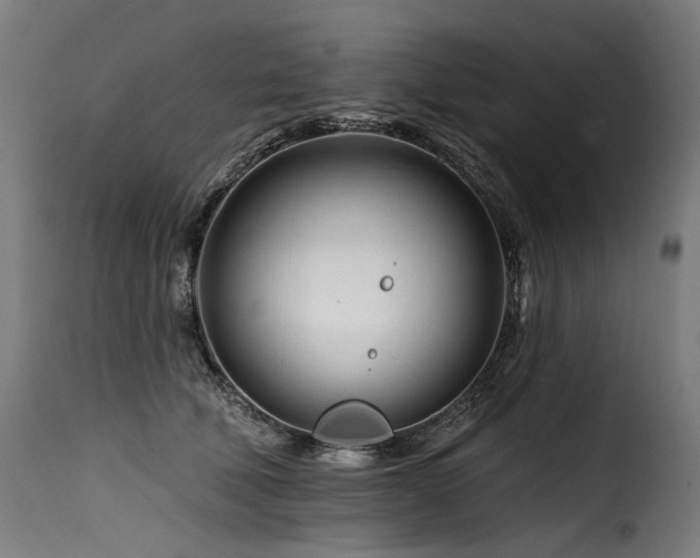 X0000116160610200911231406