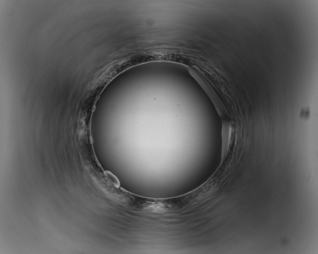 X0000116160611200911231406