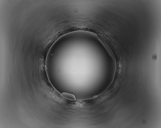 X0000116160612200911231406