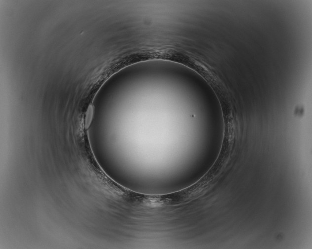X0000116160613200911231406