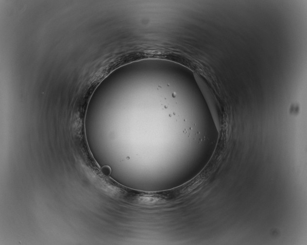 X0000116160614200911231406
