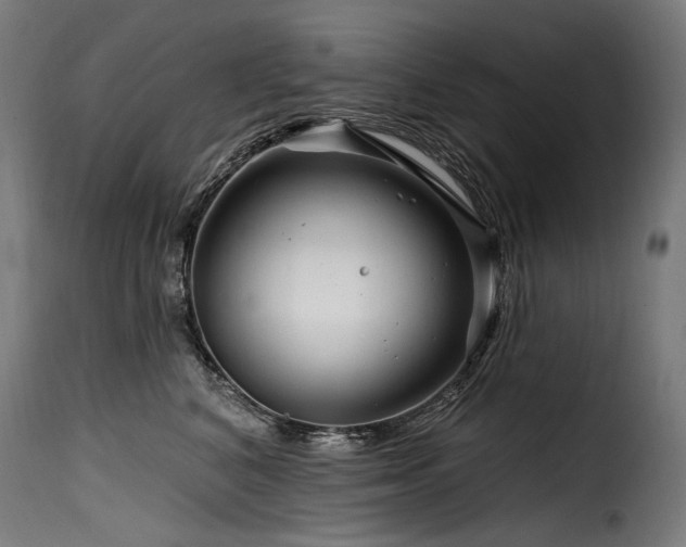 X0000116160616200911231406