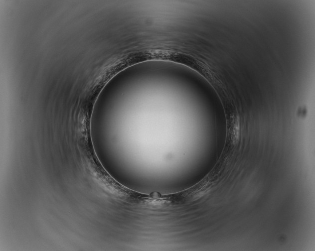 X0000116160619200911231406