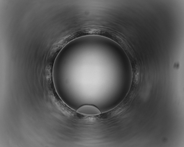 X0000116160620200911231406