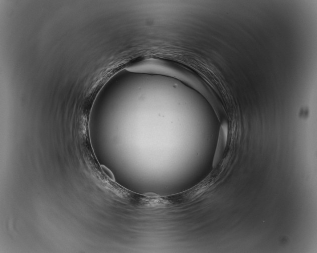 X0000116160621200911231406