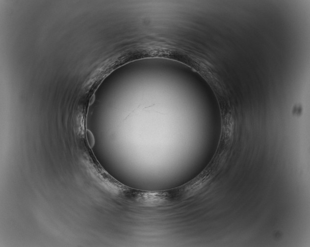 X0000116160622200911231406