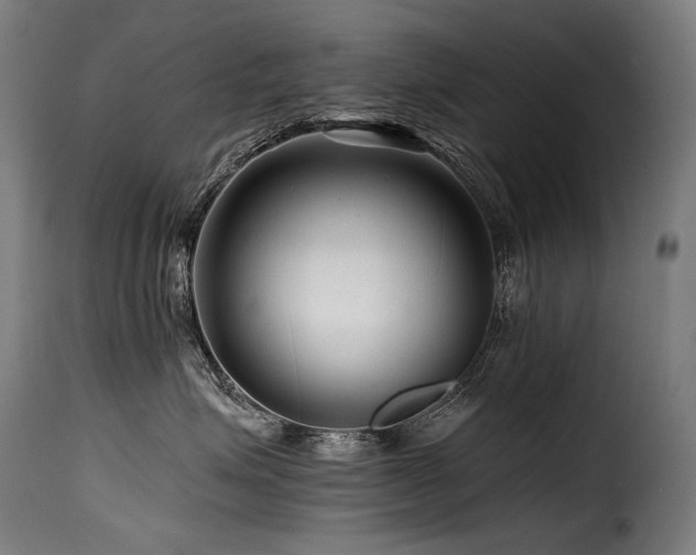 X0000116160623200911231406
