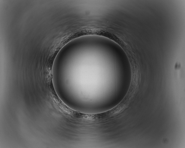 X0000116160624200911231406